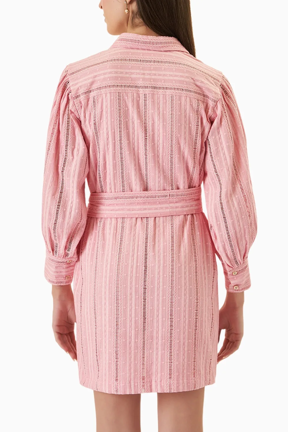 Blush Dress