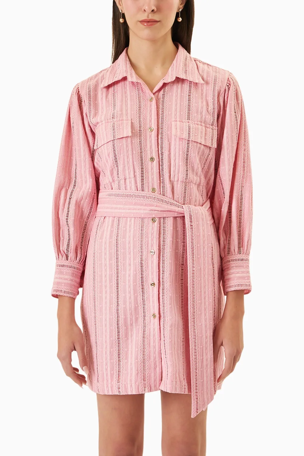 Blush Dress